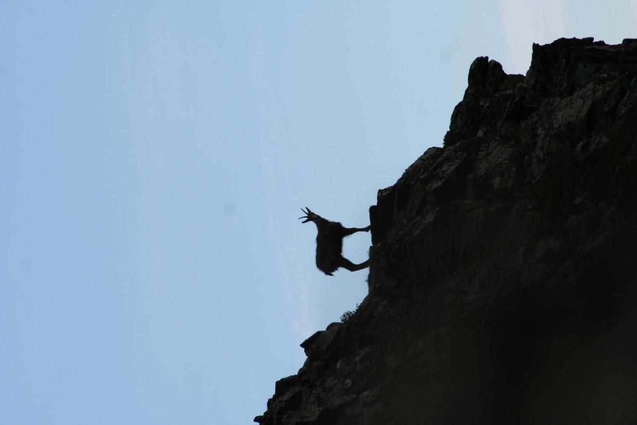 Apart Gletscherblick Kaunertal Zewnętrze zdjęcie