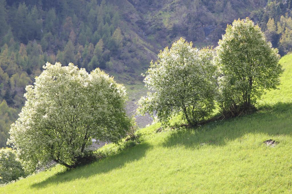 Apart Gletscherblick Kaunertal Zewnętrze zdjęcie