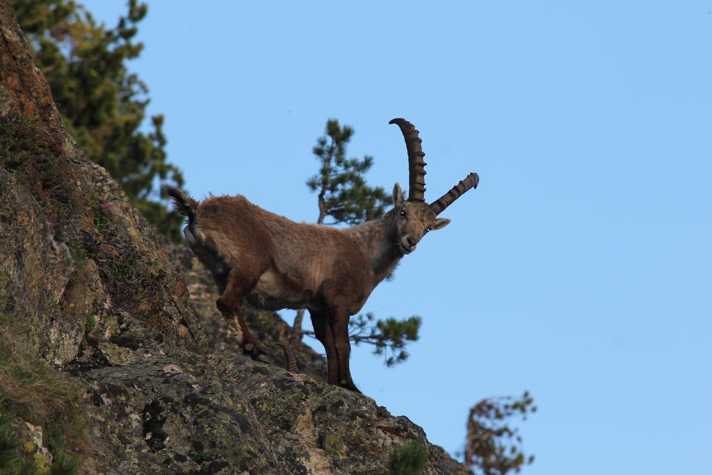 Apart Gletscherblick Kaunertal Zewnętrze zdjęcie