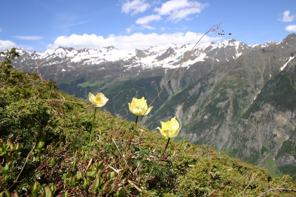 Apart Gletscherblick Kaunertal Zewnętrze zdjęcie