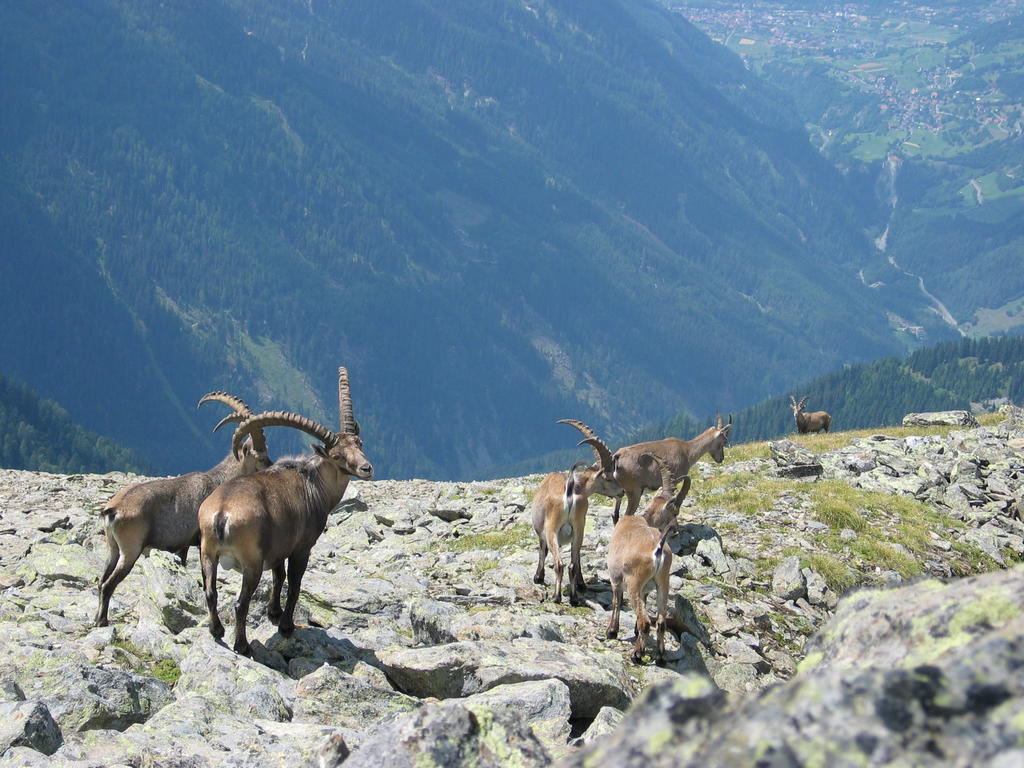 Apart Gletscherblick Kaunertal Zewnętrze zdjęcie